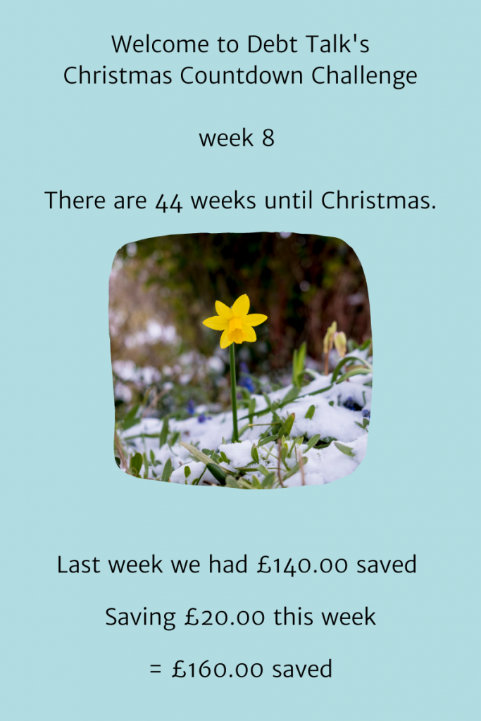 week 8 of the Christmas Countdown